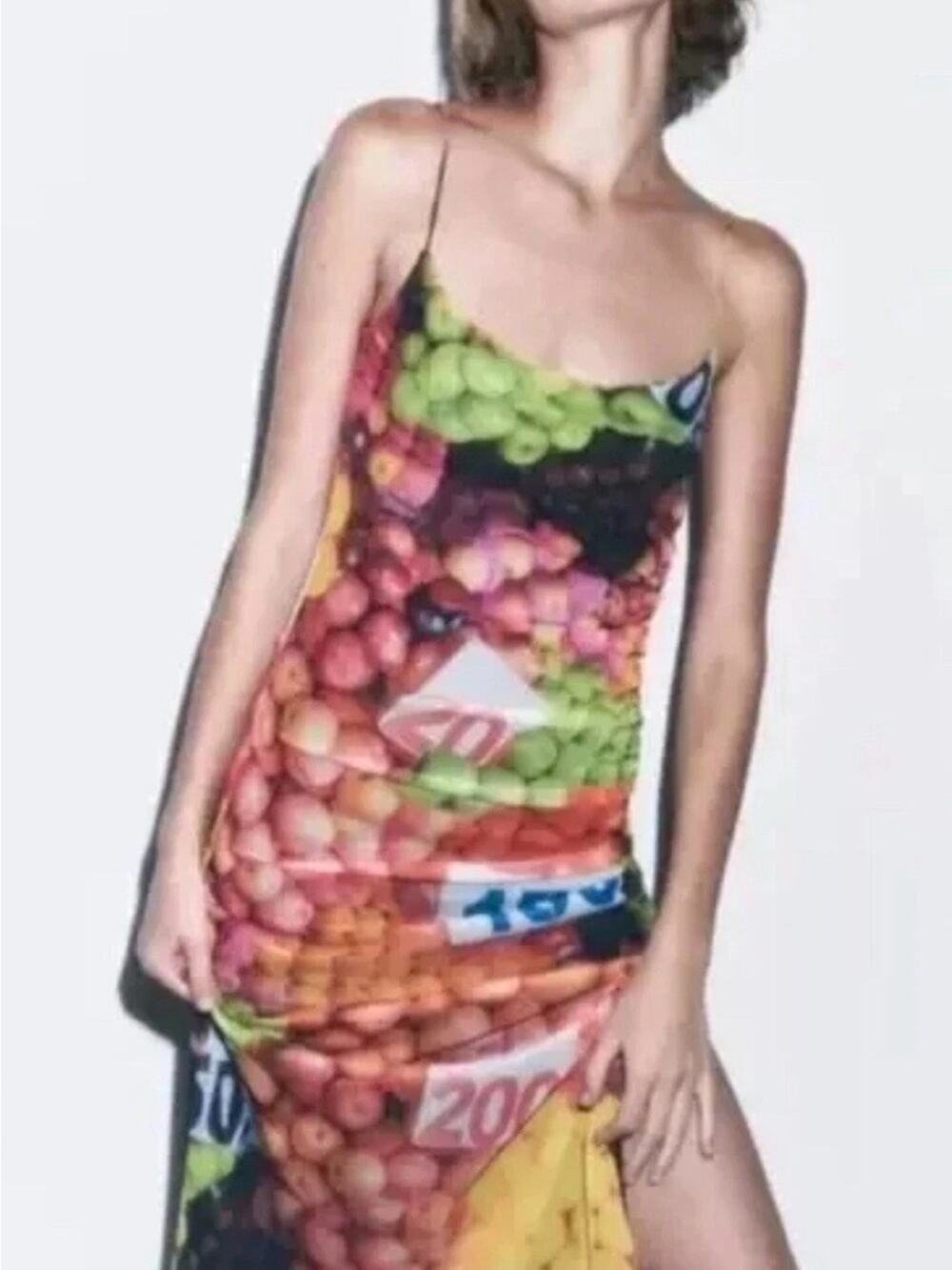 Zara Fruit Stand Print Mesh Maxi Long Dress 5039/201 S 4 6